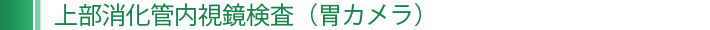 上部消化管内視鏡検査（胃カメラ）